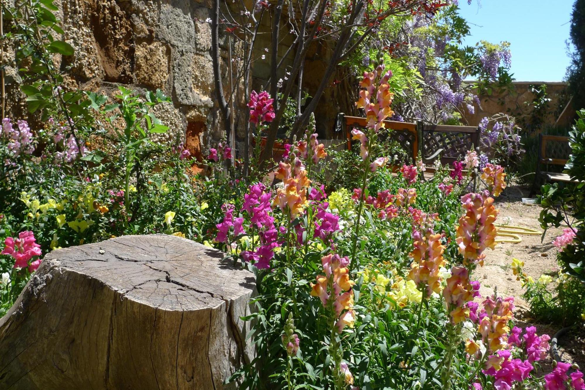 Hotel Rural San Miguel - Only Adults Σαν Μιγκέλ ντε Αμπόνα Εξωτερικό φωτογραφία