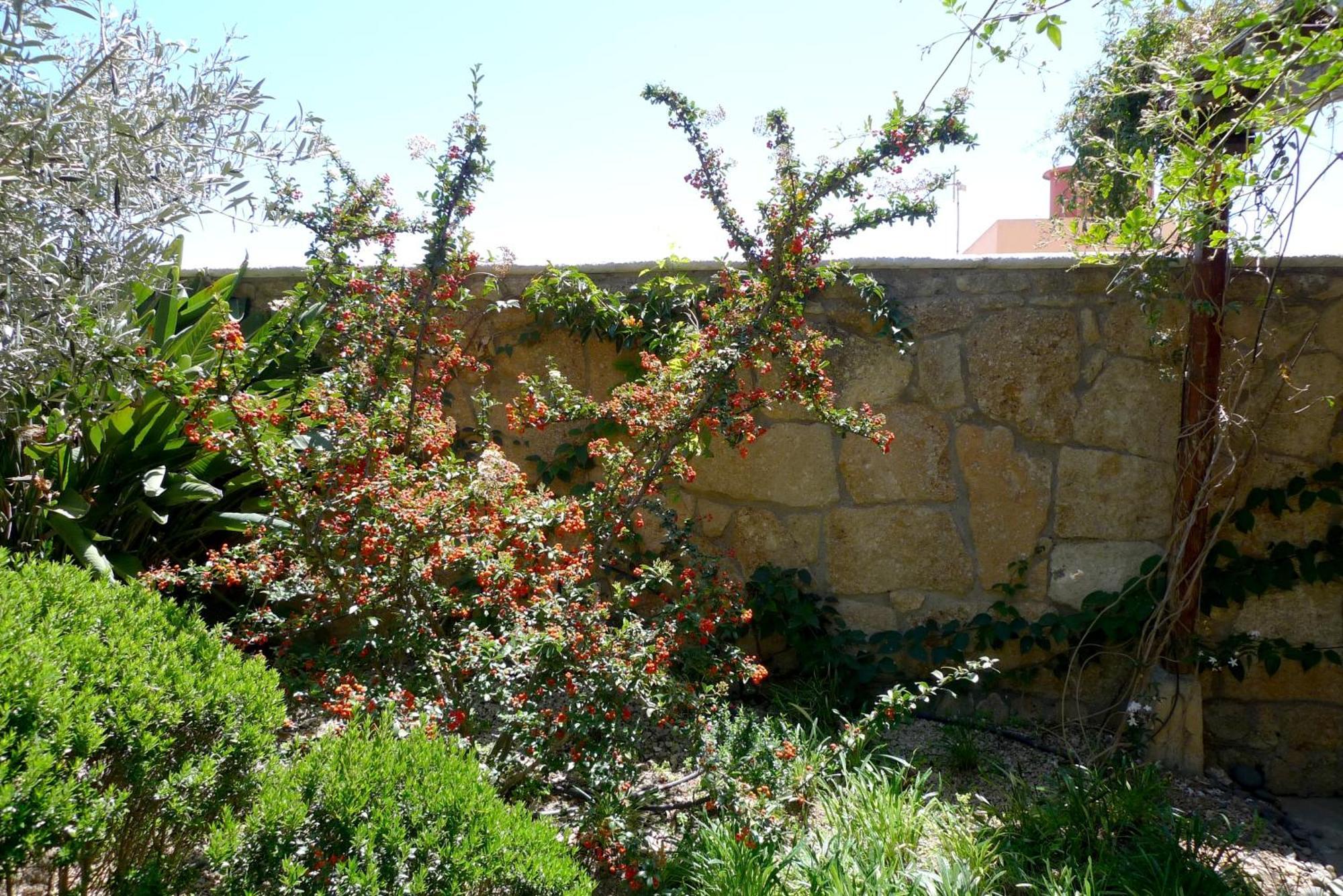 Hotel Rural San Miguel - Only Adults Σαν Μιγκέλ ντε Αμπόνα Εξωτερικό φωτογραφία